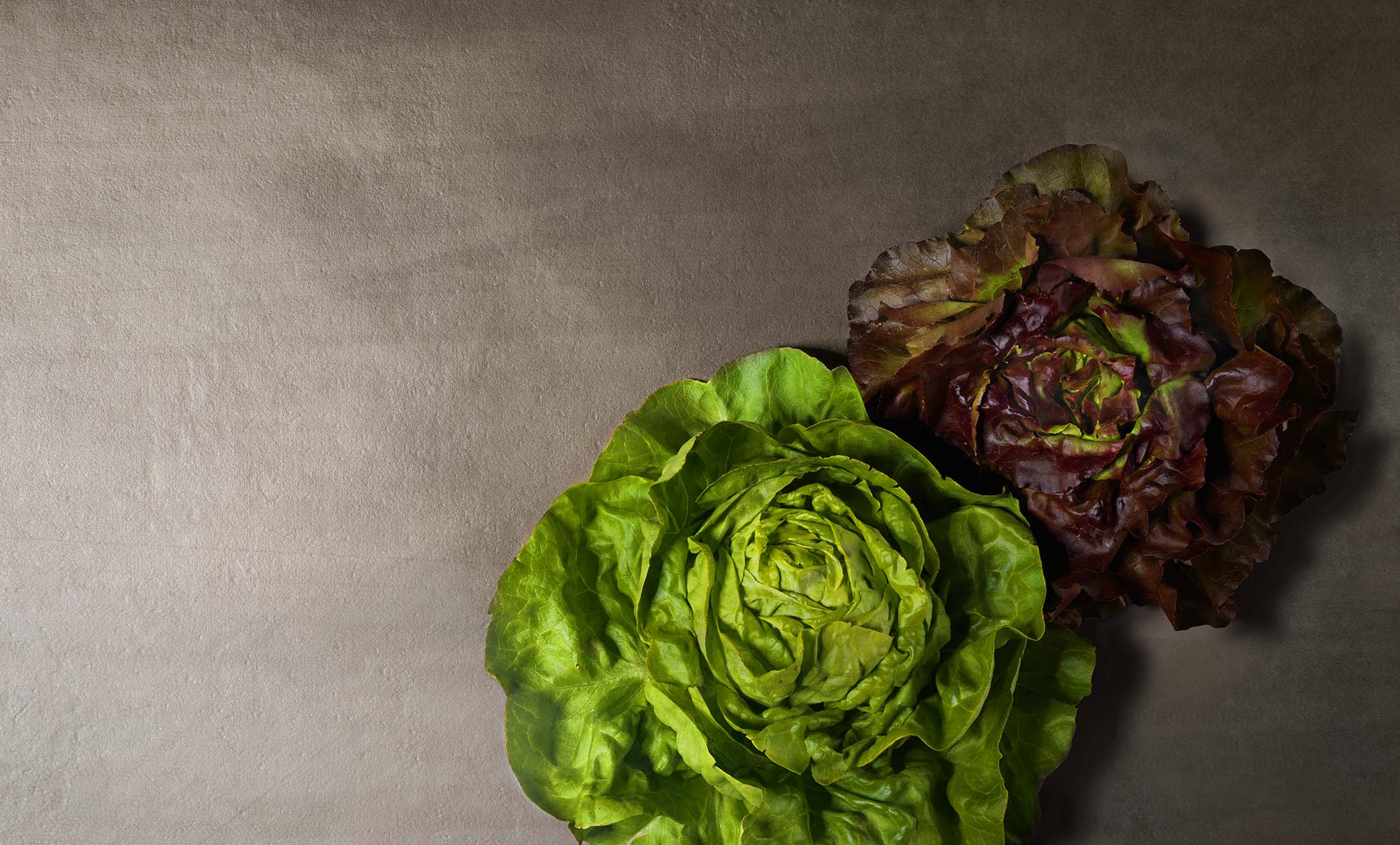 Titelbild_Frühling_Salat